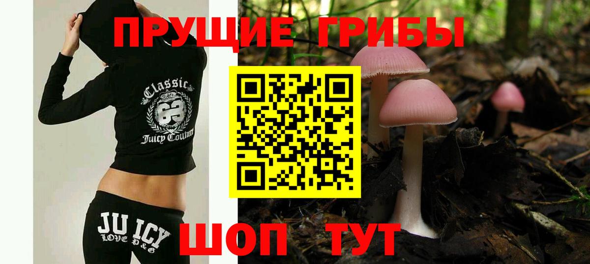 Псилоцибиновые грибы Magic Shrooms  Псилоцибиновые грибы мухоморы  купить наркотик  Вход с VPN  Барабинск 